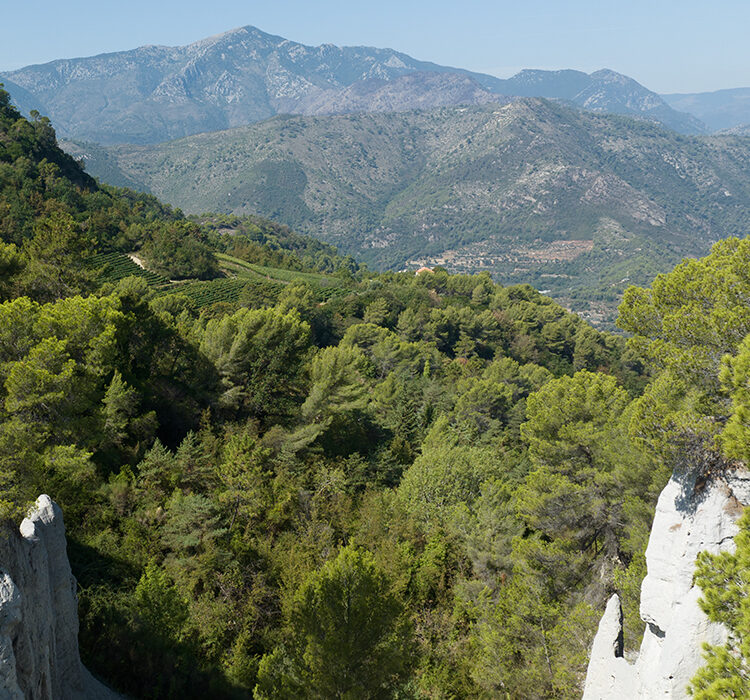 Il passo di terra Bianca