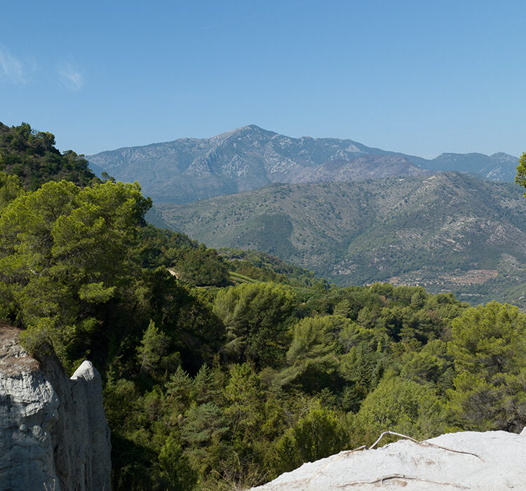 Il passo di terra Bianca
