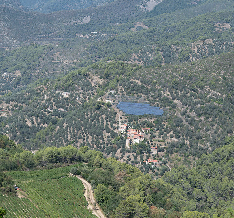 Migliarina