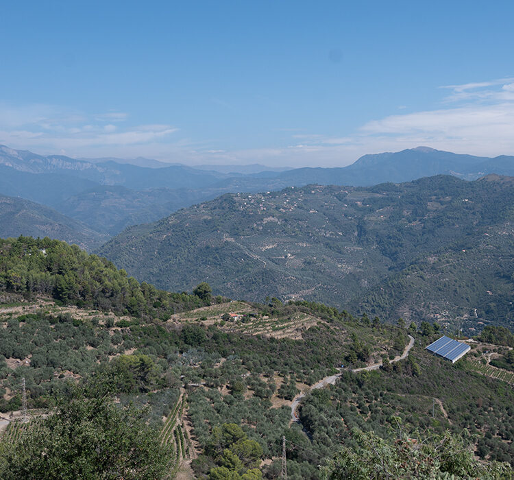 Monte curto