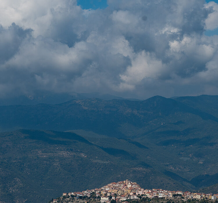 Nomeranza Negi