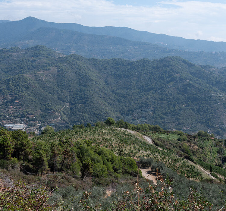 Pian del Vescovo