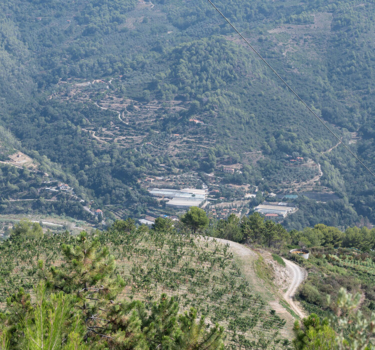 Pian del Vescovo