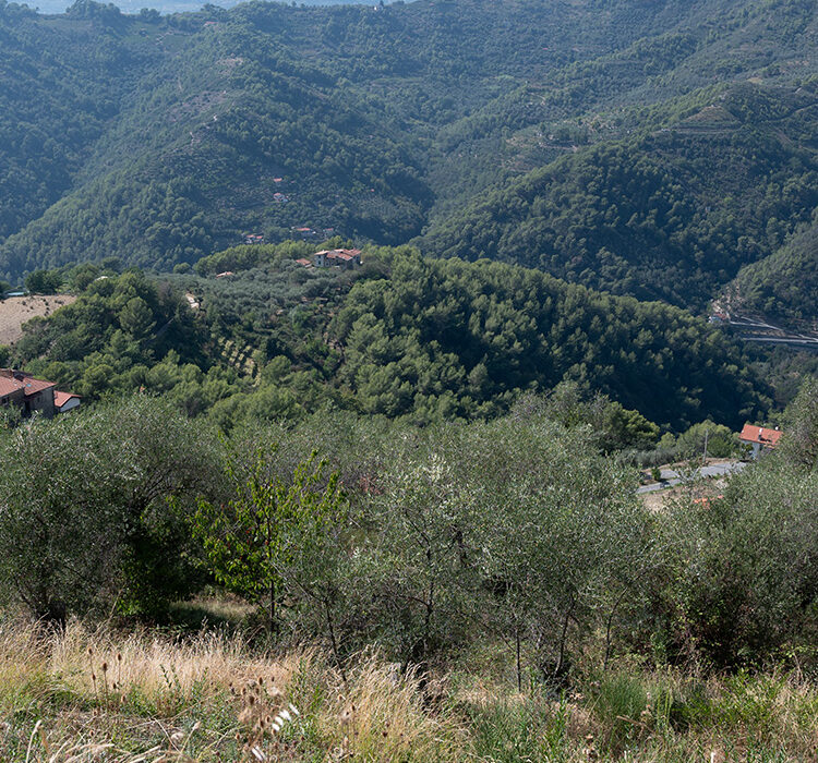 Perinaldo Savoia