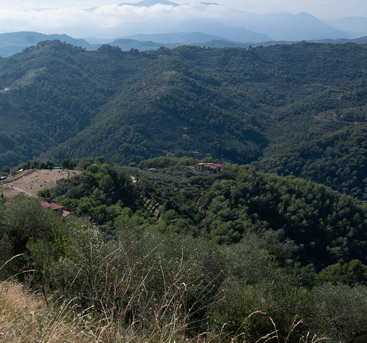 POI_Savoia_2